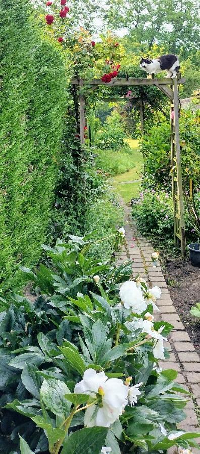 Bed & Breakfast L Heure Bleue *